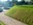 The matting should decompose after about three of four years.